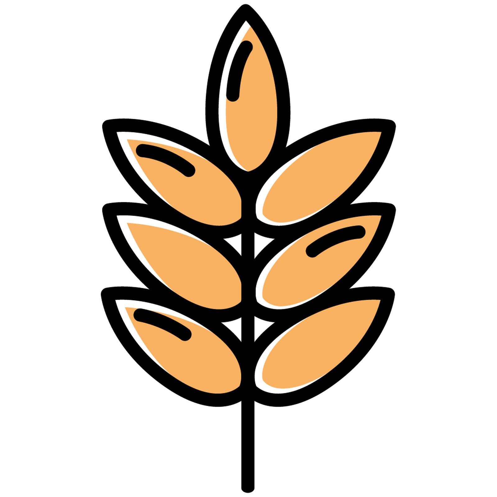 Gluten