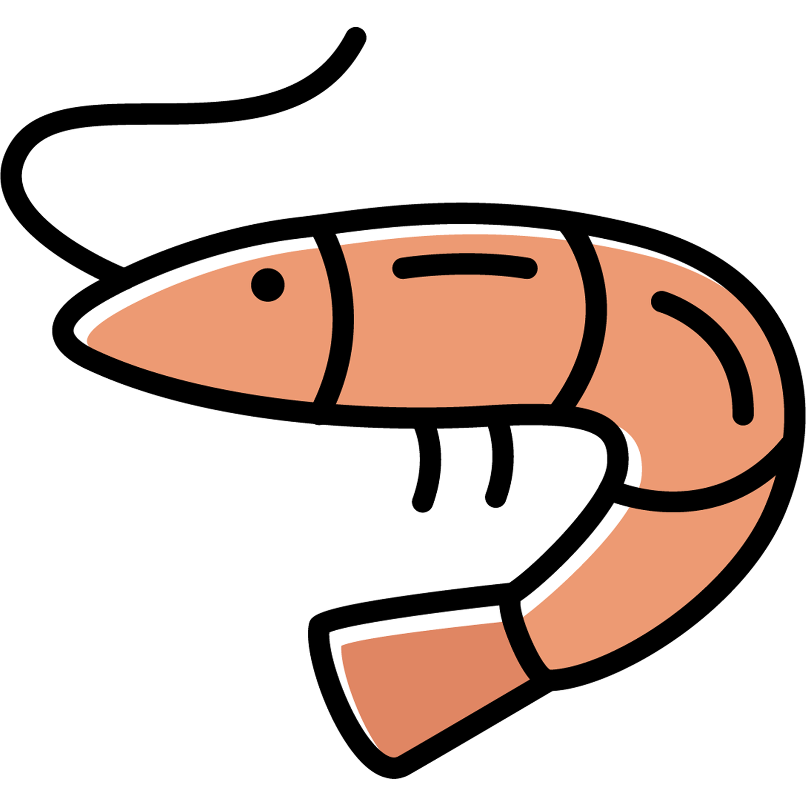 Mollusques
